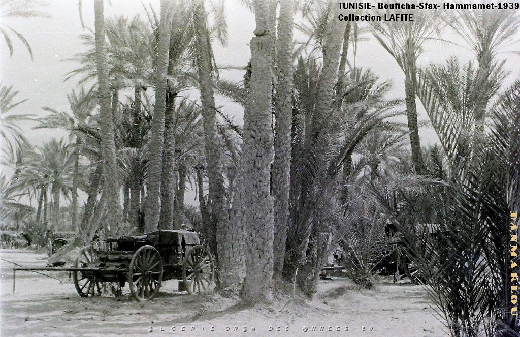 TUNISIE 1939  66 EME  REGIMENT D ARTILLERIE (49).JPG